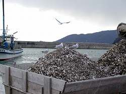 200501 tabearuki (1).jpg